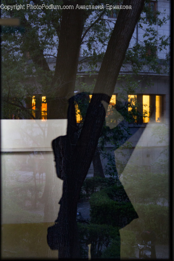 Porch, Art, Modern Art, Flora, Forest