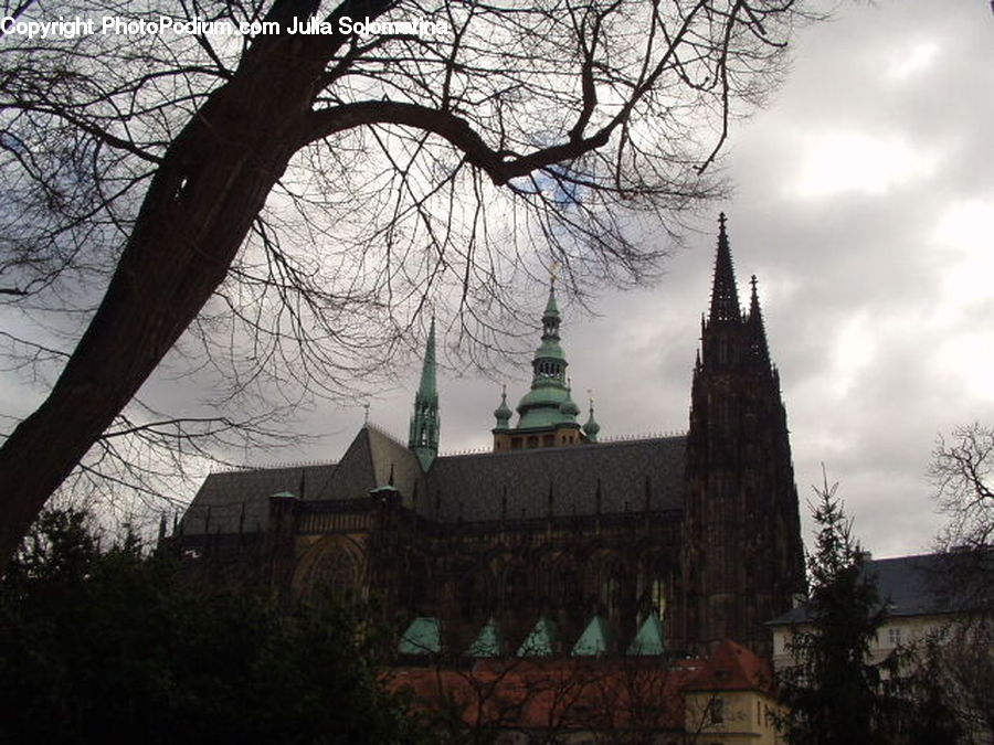 Architecture, Cathedral, Church, Worship, Spire, Steeple, Tower
