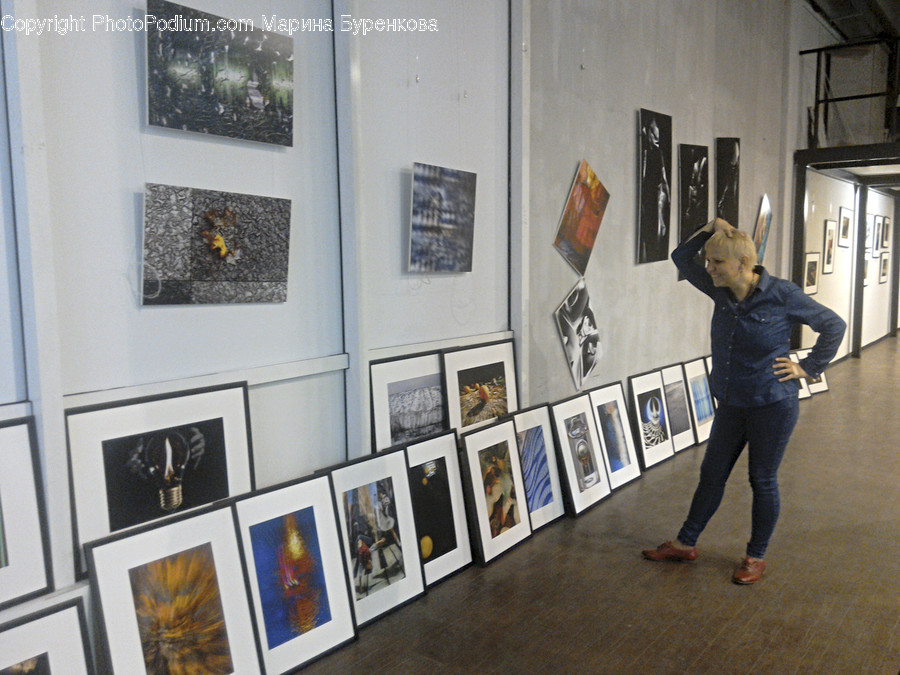 Human, People, Person, Art, Art Gallery