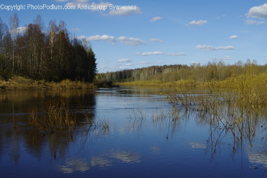 Land, Marsh, Outdoors, Swamp, Water