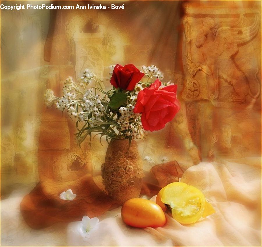 Plant, Potted Plant, Citrus Fruit, Fruit, Orange, Floral Design, Flower