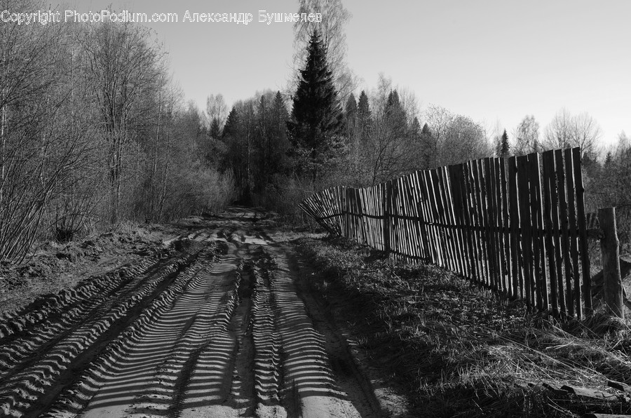 Rail, Railway, Train Track, Transportation, Countryside