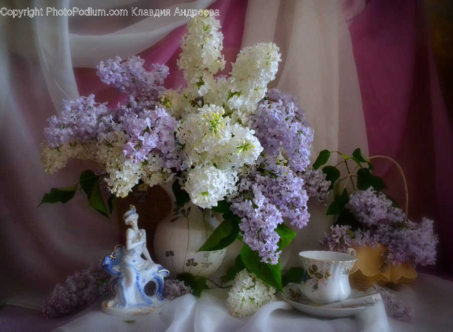 Blossom, Flora, Flower, Lilac, Plant