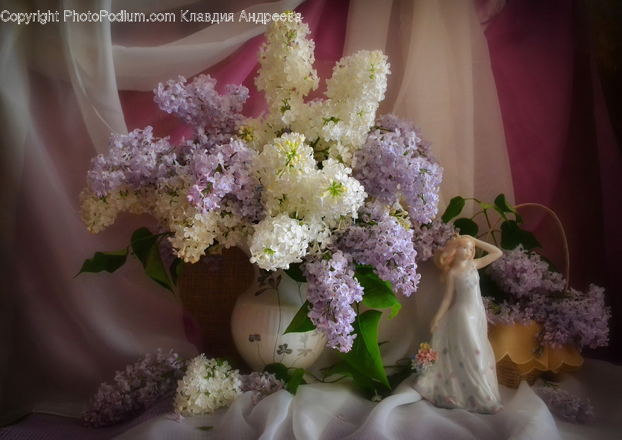 Flora, Jar, Plant, Potted Plant, Pottery