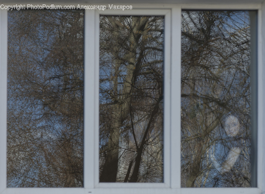 Window, Building, Housing