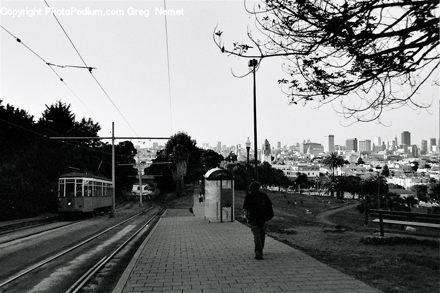 Bench, Train, Vehicle, Rail, Train Track, Plant, Potted Plant