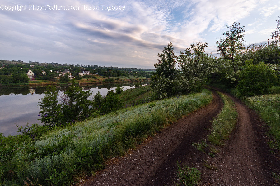 Dirt Road, Gravel, Road, Outdoors, Pond