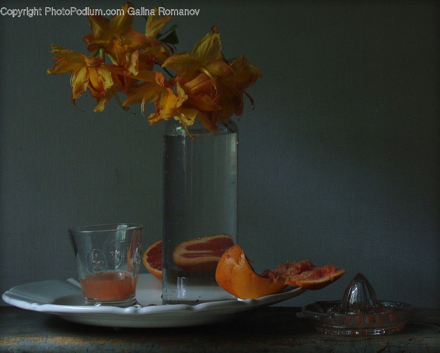 Cup, Citrus Fruit, Flora, Food, Fruit