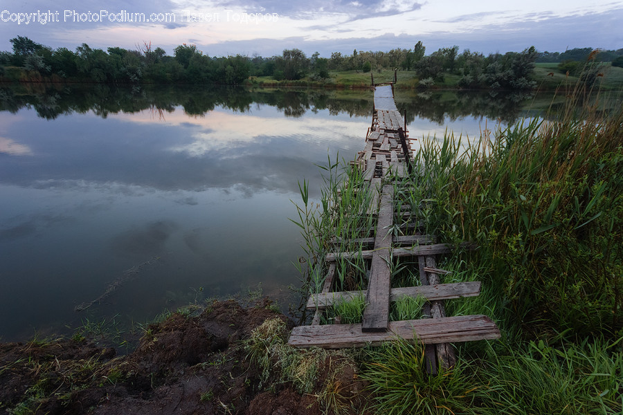 Land, Marsh, Outdoors, Swamp, Water