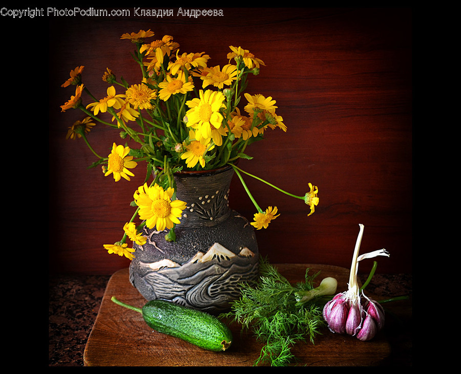 Flora, Jar, Plant, Potted Plant, Pottery