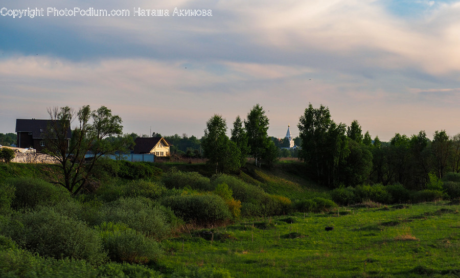 Field, Grassland, Outdoors, Countryside, Nature