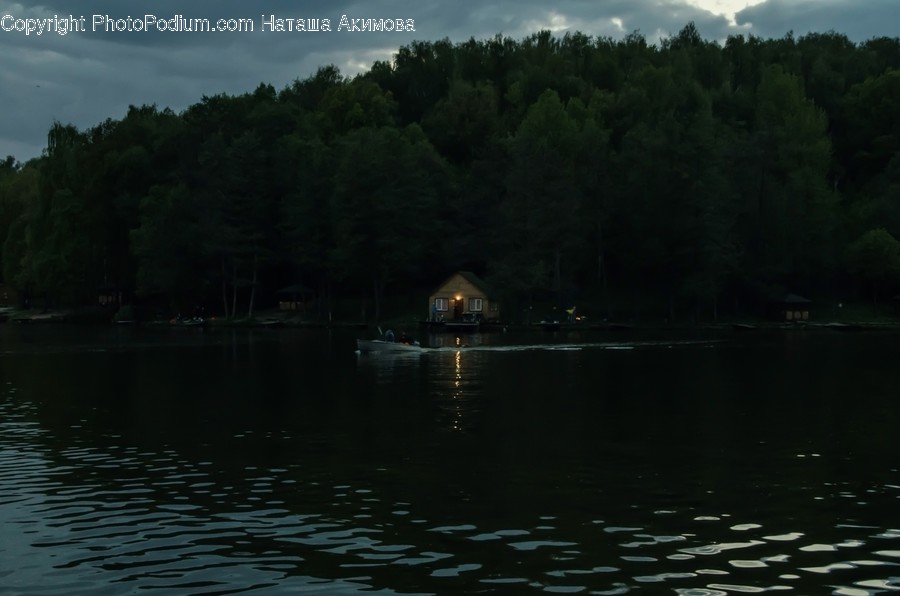 Lake, Outdoors, Water, Conifer, Flora