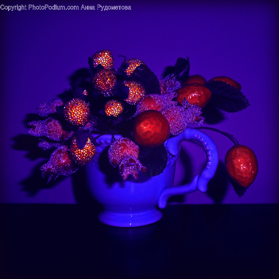 Glitter, Light, Blossom, Crocus, Flora