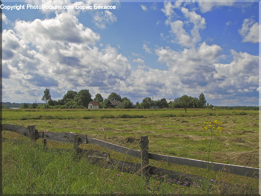 Field, Grass, Grassland, Land, Outdoors, Countryside, Meadow