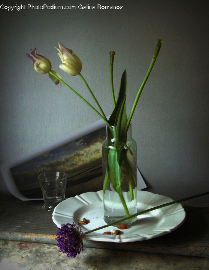 Art, Blossom, Flora, Flower, Flower Arrangement