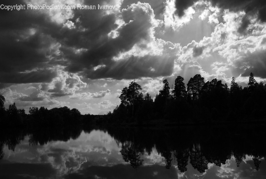 Cloud, Cumulus, Nature, Outdoors, Sky