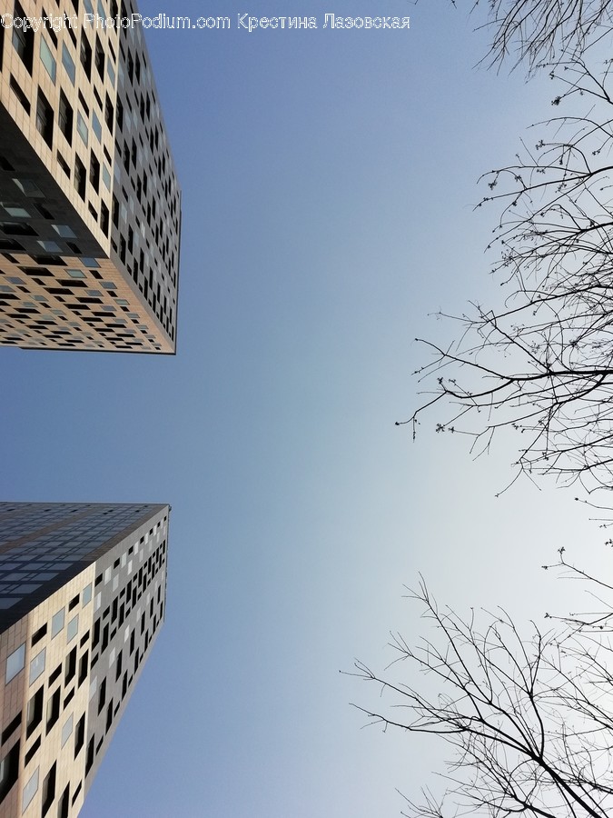 Building, City, High Rise, Town, Urban