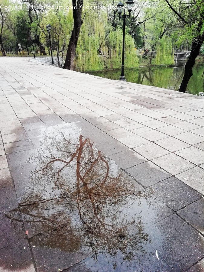 Path, Pavement, Sidewalk, Walkway, Canal