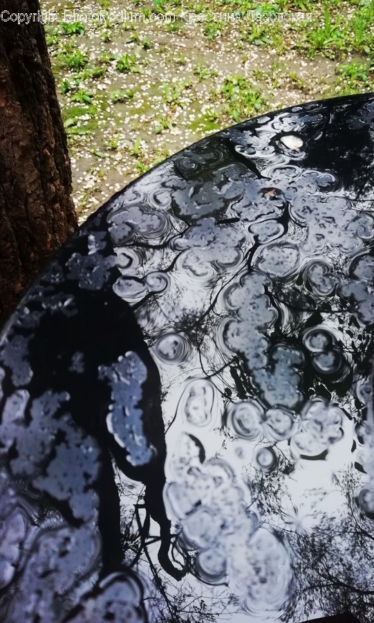 Outdoors, Ripple, Water, Pond, Soil