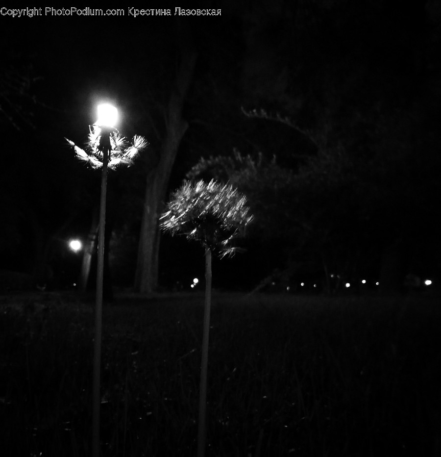 Night, Outdoors, Lighting, Urban