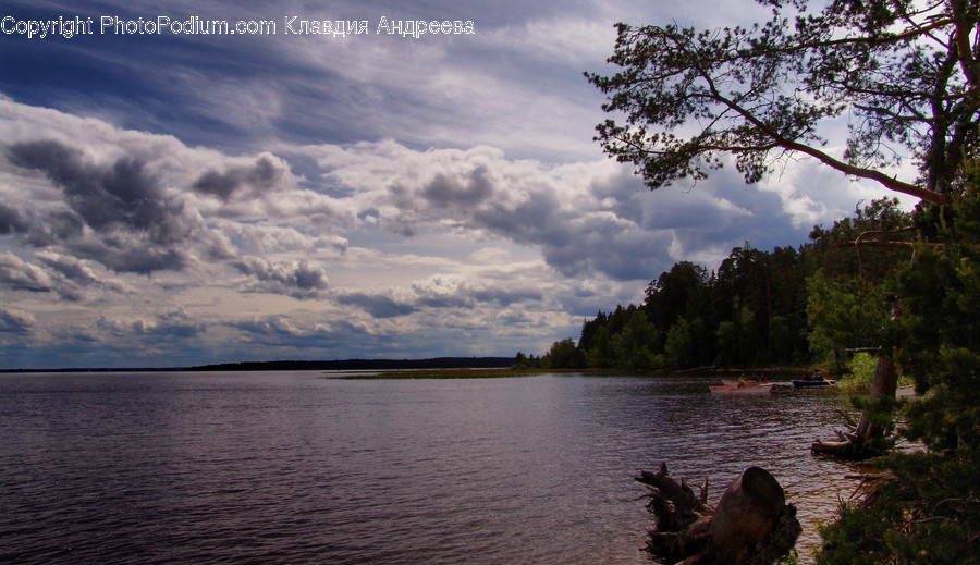 Lake, Outdoors, Water, Flora, Forest
