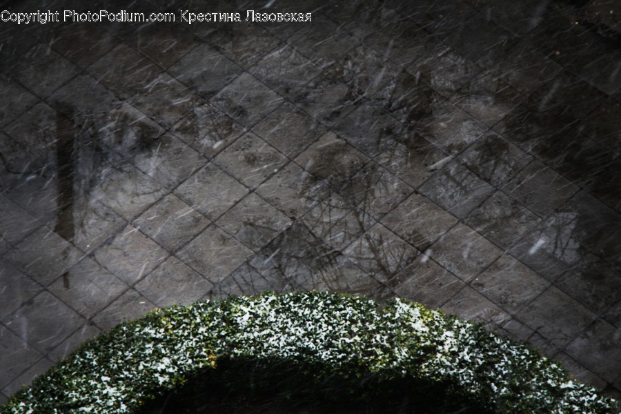 Path, Pavement, Sidewalk, Walkway, Crypt