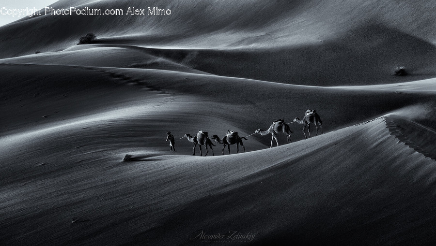 Outdoors, Sand, Soil, Dune, Desert