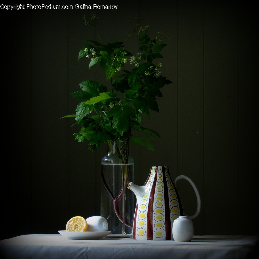 Glass, Goblet, Flora, Ivy, Plant