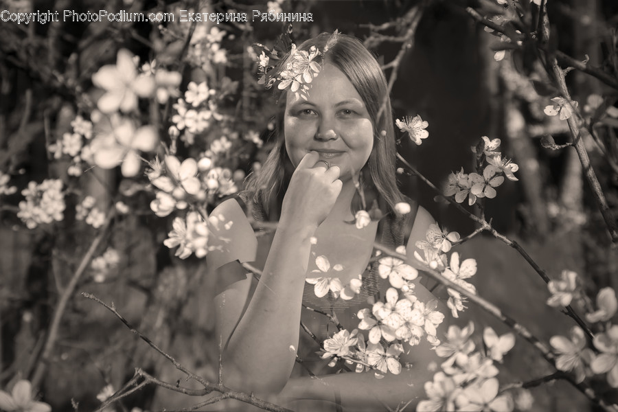Human, People, Person, Blossom, Flora