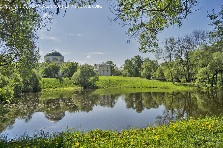 Outdoors, Pond, Water, Flora, Grass