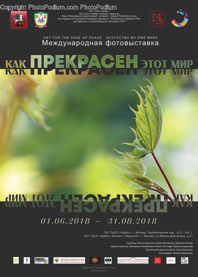 Brochure, Flyer, Paper, Poster, Logo