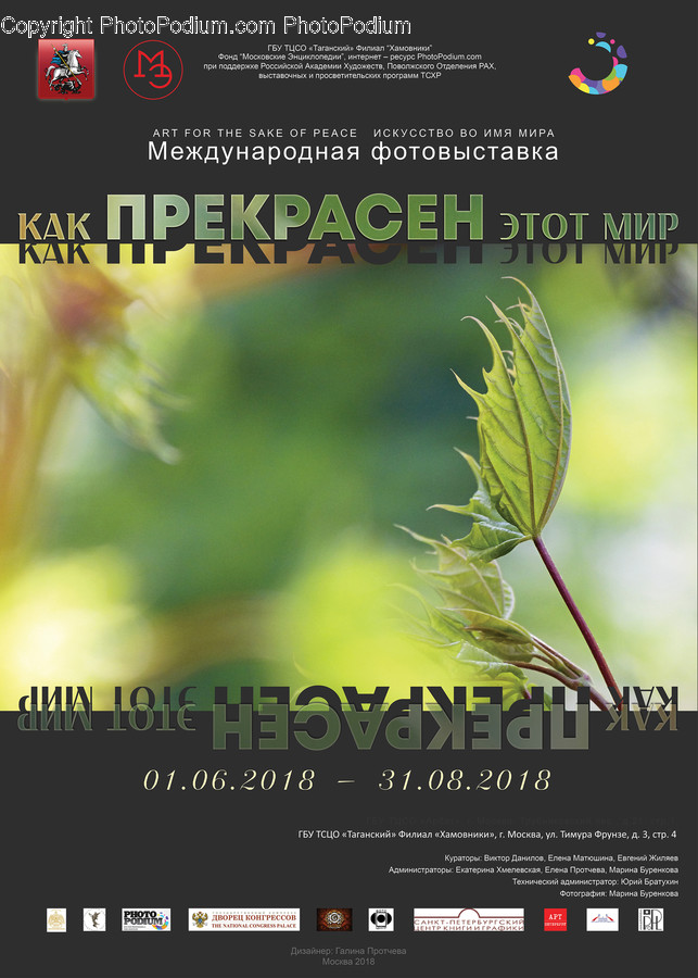 Brochure, Flyer, Paper, Poster, Calendar