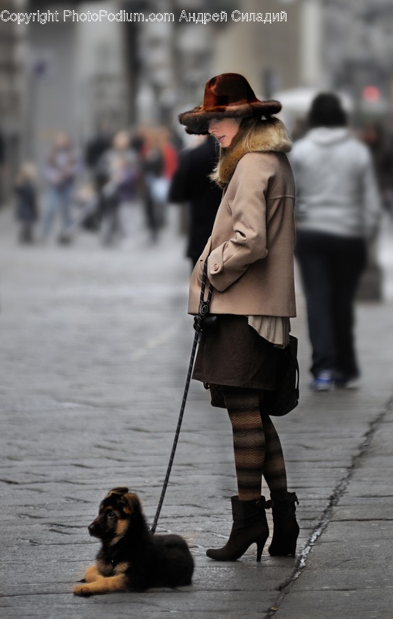 Human, People, Person, Leash, Animal