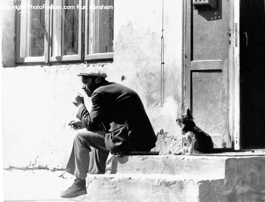 People, Person, Human, Animal, Canine, Dog, Mammal