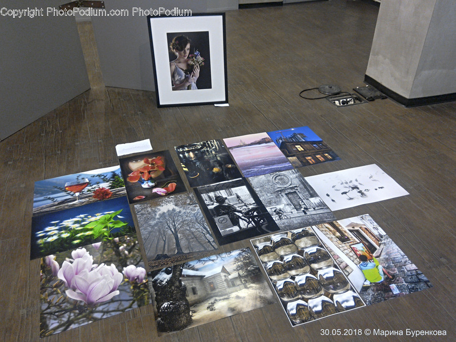 Collage, Poster, Blossom, Crocus, Flora