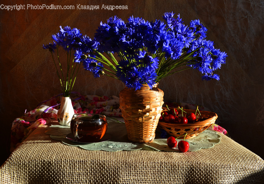 Flora, Jar, Plant, Potted Plant, Pottery