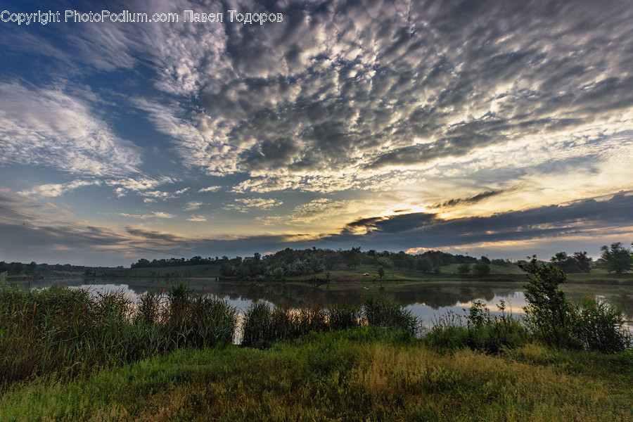 Landscape, Nature, Outdoors, Scenery, Field
