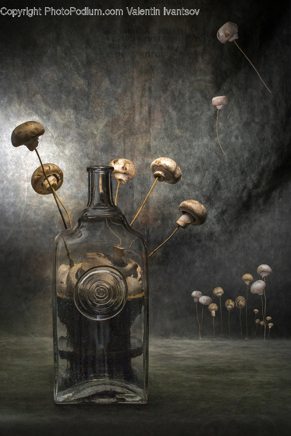 Cutlery, Spoon, Flora, Fungus, Mushroom
