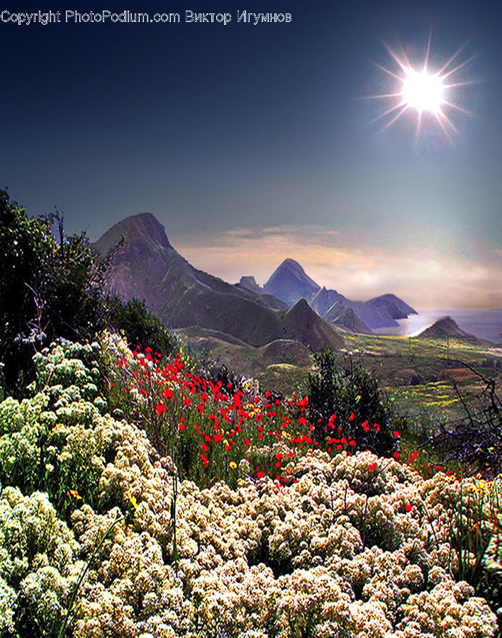 Basin, Mountain, Mountain Range, Nature, Outdoors