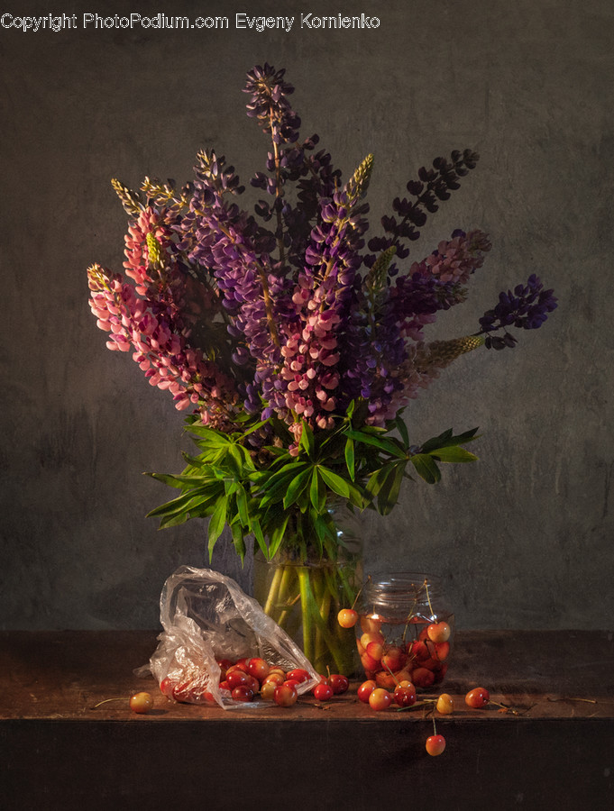 Blossom, Flora, Flower, Flower Arrangement, Ornament