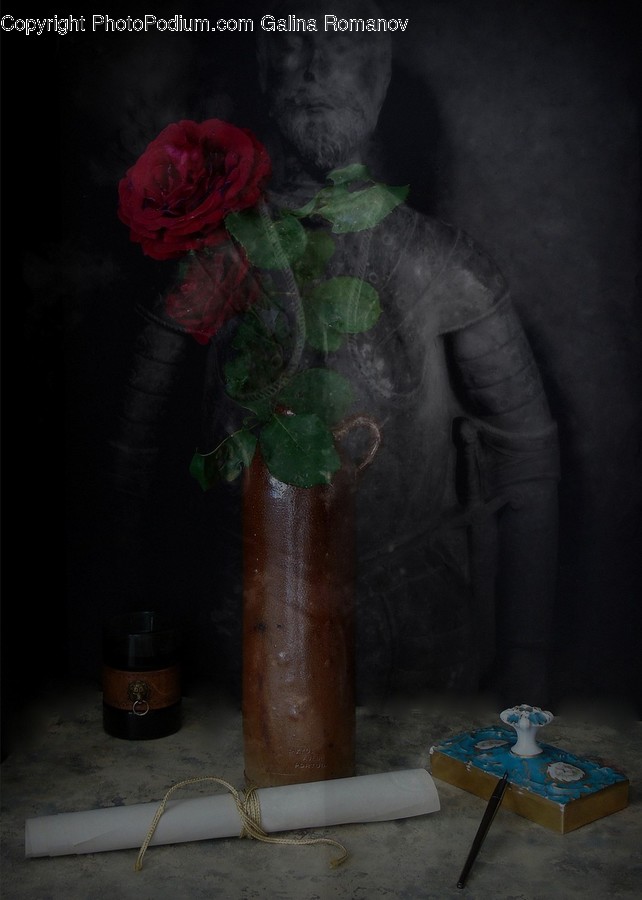 Human, People, Person, Flora, Jar