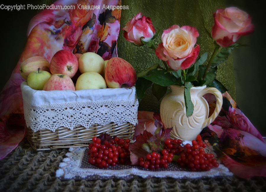 Blossom, Flora, Flower, Plant, Rose