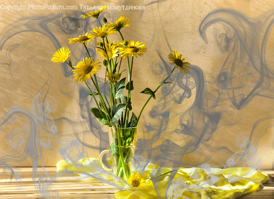 Blossom, Daffodil, Flora, Flower, Plant