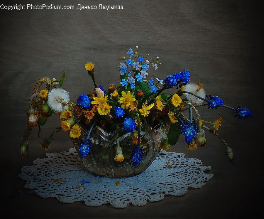 Blossom, Flora, Flower, Flower Arrangement, Ornament