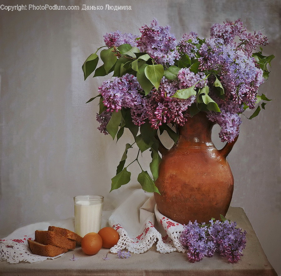 Flora, Jar, Plant, Potted Plant, Pottery