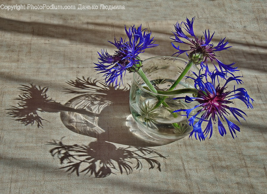 Embroidery, Ornament, Agapanthus, Blossom, Flora