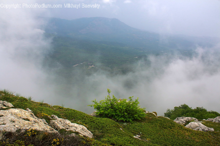 Fog, Mist, Nature, Outdoors, Weather