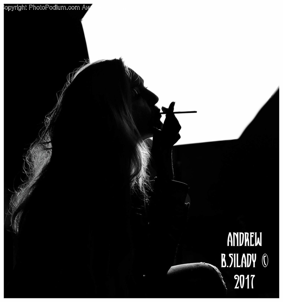 Human, People, Person, Silhouette, Brochure