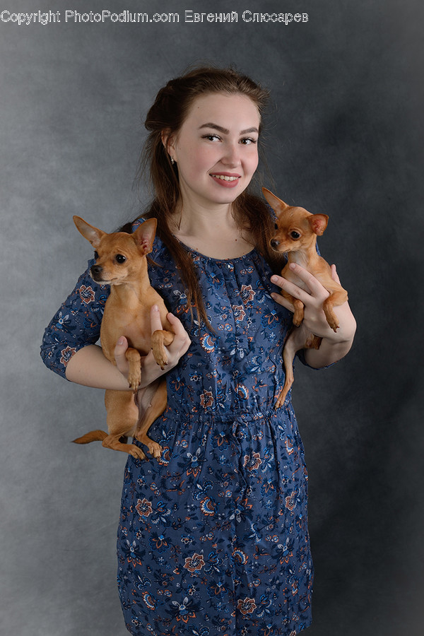 Human, People, Person, Animal, Canine