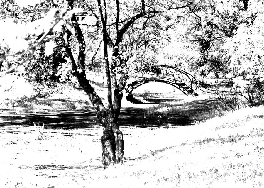 Art, Drawing, Sketch, Flora, Plant